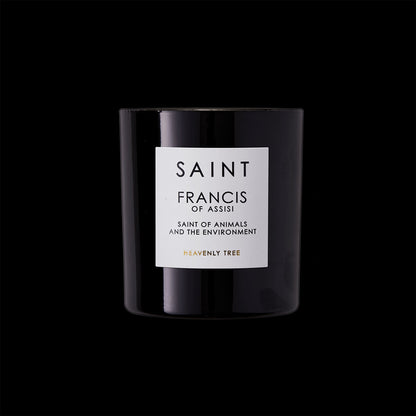 Saint Francis of Assisi (Protector of Animals) Golden Candle - Blackbird General Store