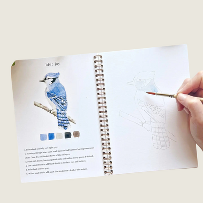 Birds Watercolor Workbook