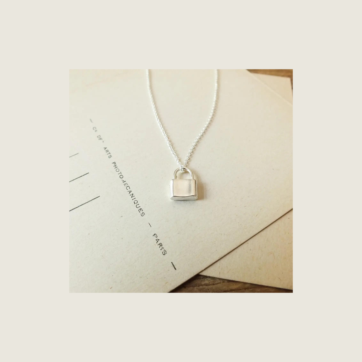 Hidden Treasures Necklace - Silver