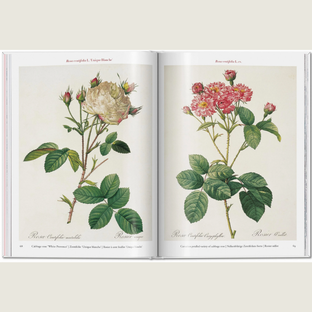 Roses-The Complete Plates 1817-1824 - Blackbird General Store