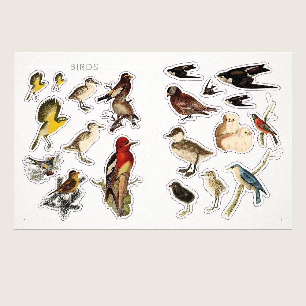 Bees, Birds, Butterflies Sticker Book - Blackbird General Store