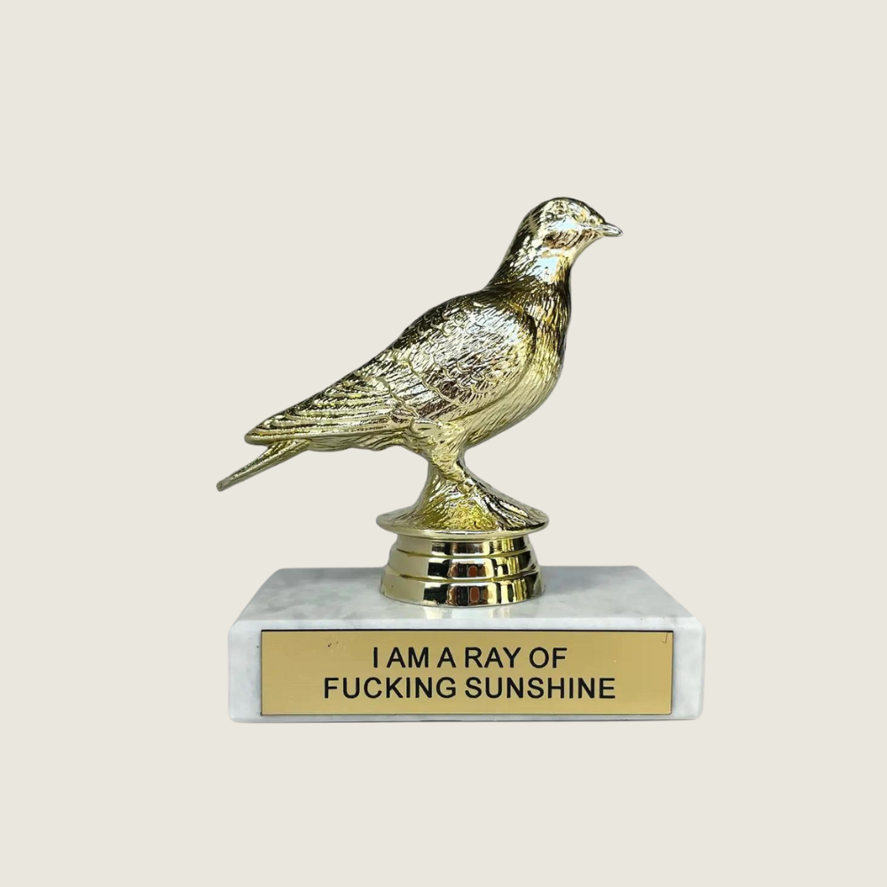 I Am A Ray of Sunshine Participation Trophy - Blackbird General Store