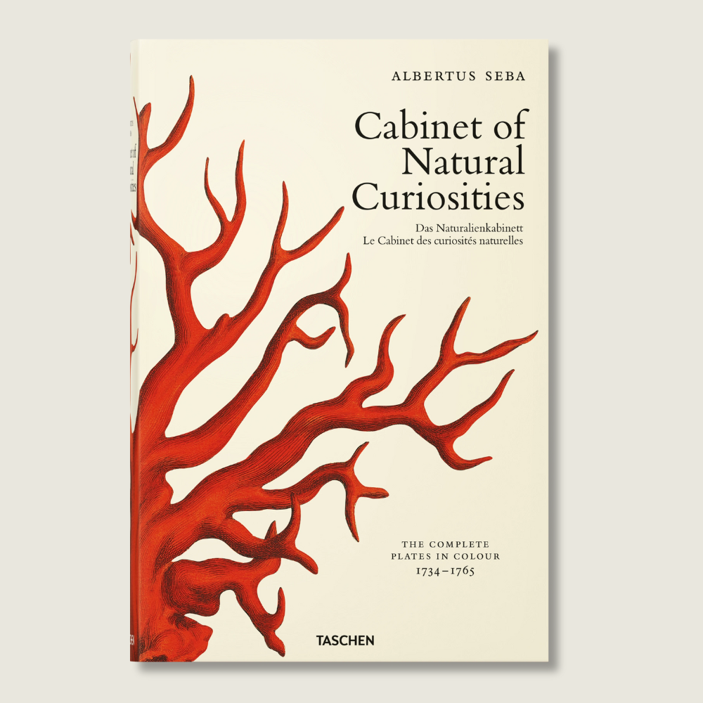 Cabinet of Natural Curiosities - Blackbird General Store