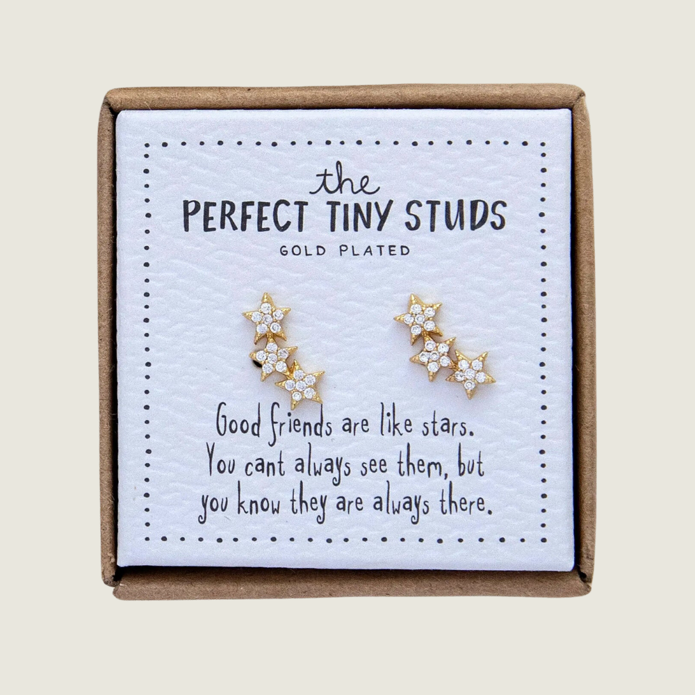 Star Perfect Tiny Stud Earrings - Blackbird General Store