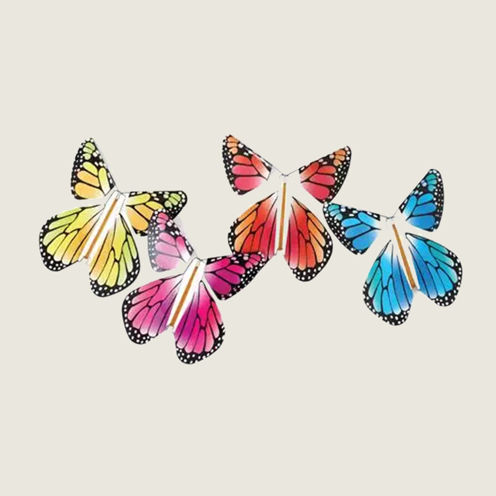 Magic Flying Butterfly Rainbow - Blackbird General Store